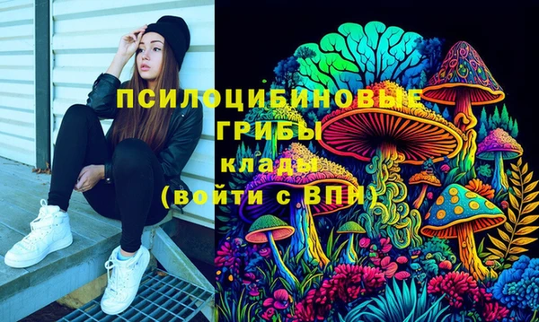 2c-b Алексин