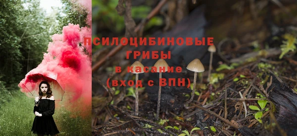 2c-b Алексин