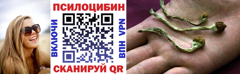 Псилоцибиновые грибы MAGIC MUSHROOMS  закладка  Андреаполь 